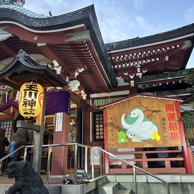 ジャップのカバー写真