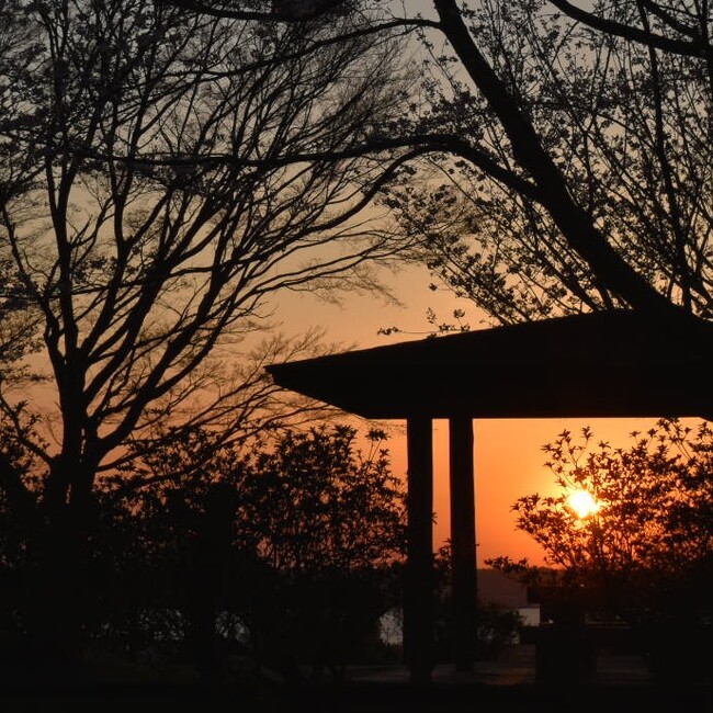 ぴかぼーのカバー写真