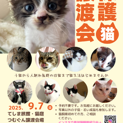 保護猫譲渡会クローバーの会 サムネイル1