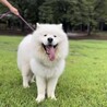 あん092525