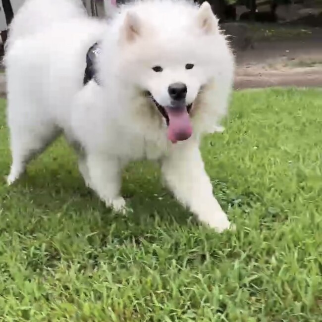 あん092525のカバー写真