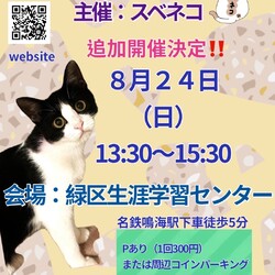 猫の譲渡会：8/24@緑生涯学習センター