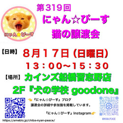 にゃん☆ぴーす猫の譲渡会【カインズ船橋習志野店2F『犬の学校goodone』】