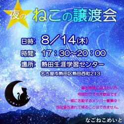 猫の譲渡会　夏の猫まつり