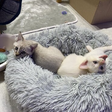 少しずつ、本当に少しずつ健やかに育ってくれています