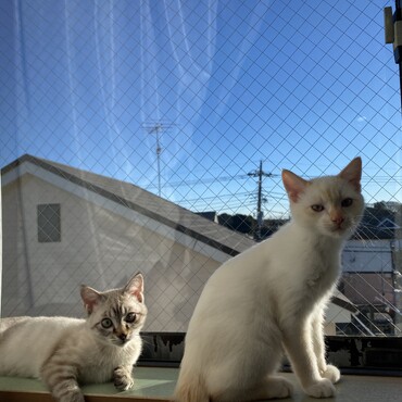 3ヶ月頃です