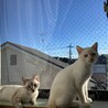 3ヶ月頃です