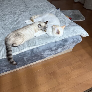 いつも一緒ですね