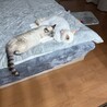 いつも一緒ですね