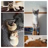 可愛さ