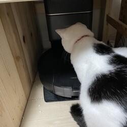 まつりさん、お掃除ロボ推進委員会