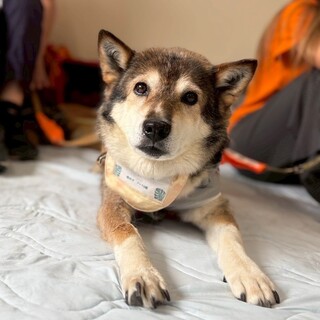 穏やかなおじいちゃん　ぜんくん