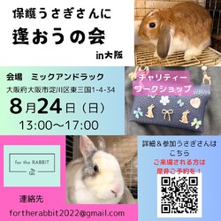 保護うさぎさんに逢おうの会in大阪