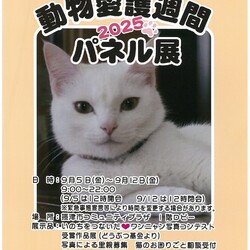 動物愛護週間パネル展