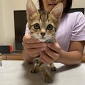 [甘えん坊]2ヶ月男の子