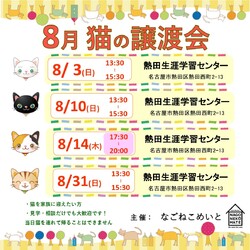 名古屋　保護猫譲渡会