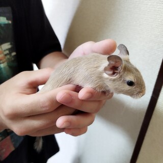 ありがとうございました!