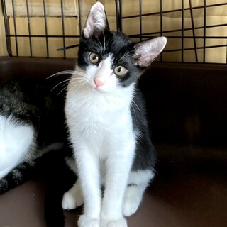 【募集一時停止】45度角度が得意な控えめ女子