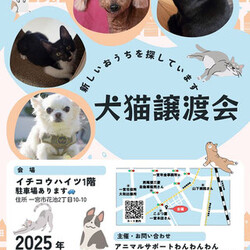 アニマルサポートわんわんわん譲渡会in一宮市