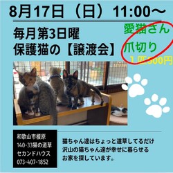 保護猫さんの譲渡会＆爪切り