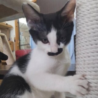 元気いっぱい　陽気な　おれおくん　