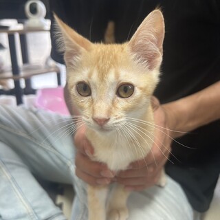 さとる(旧かまたま)くん