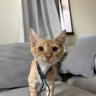 スグル(旧ざる)くん