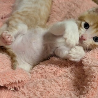 ヌイグルミのような可愛い３兄弟☆