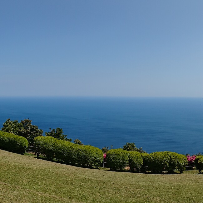 キッシー.のカバー写真