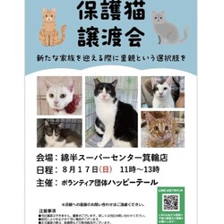 ハッピーテール保護猫譲渡会