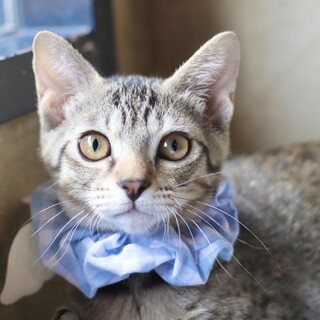 凛々しいお顔のポルくん！