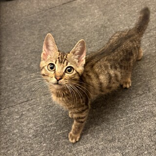 甘え上手なみあちゃん