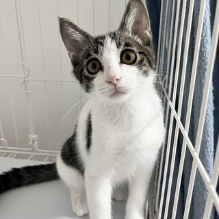 甘えん坊でやんちゃな陽（はる）くん