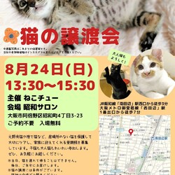 ねこチュー第25回猫の譲渡会