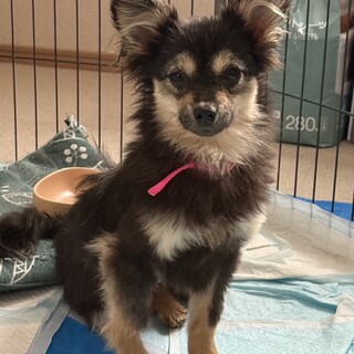 [抱っこが大好き]1歳女の子