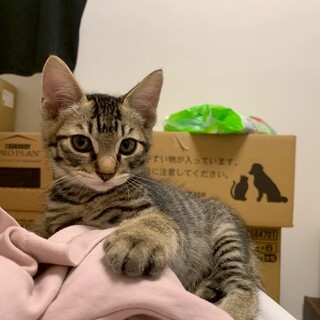 甘えん坊予備軍の太郎くん