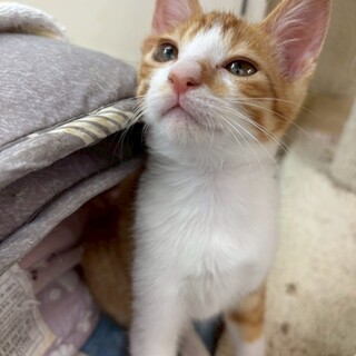 女子力抜群⭐︎こふくちゃん