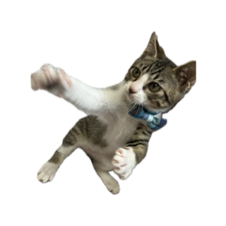 いっぱい遊んでー！元気印ペイちゃん！【西脇市】