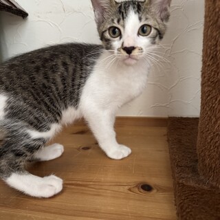 呑気なのんきくん