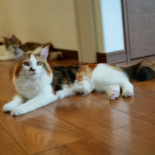 明るく元気な女の子！