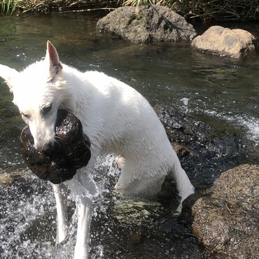 昨日はお盆　お空組のみんな帰ってきてたのかな？？
