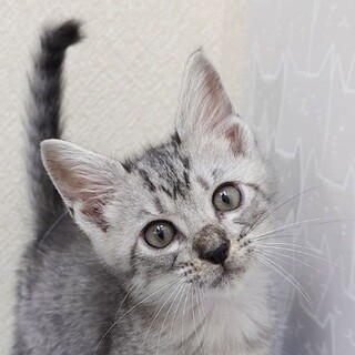 8/17高田馬場★ツイストくん★頼れる？リーダー