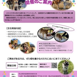 譲渡候補犬とのお見合い会