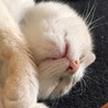 みづきです。