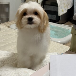 沢山のお問い合わせありがとうございました。