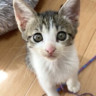 アイラインバッチリすぎ美少女2カ月半