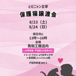 とだニャン保護猫譲渡会