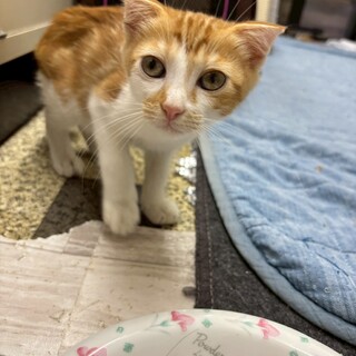 た〜っぷり甘やかしてくれる家族を希望のエドちゃん