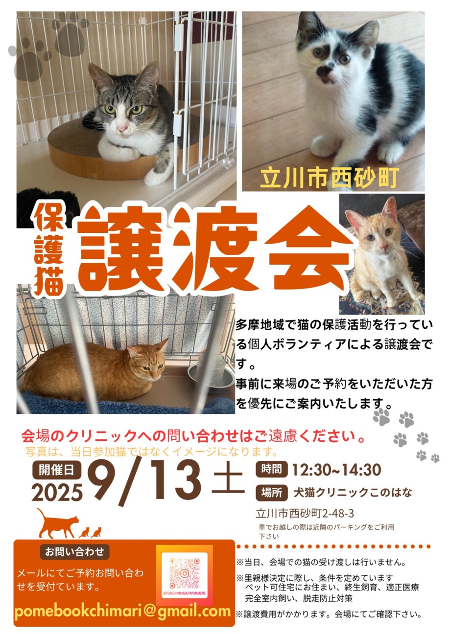 立川市西砂町で猫の譲渡会」（うりたまCatsのイベント #26656 