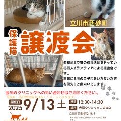 立川市西砂町で猫の譲渡会